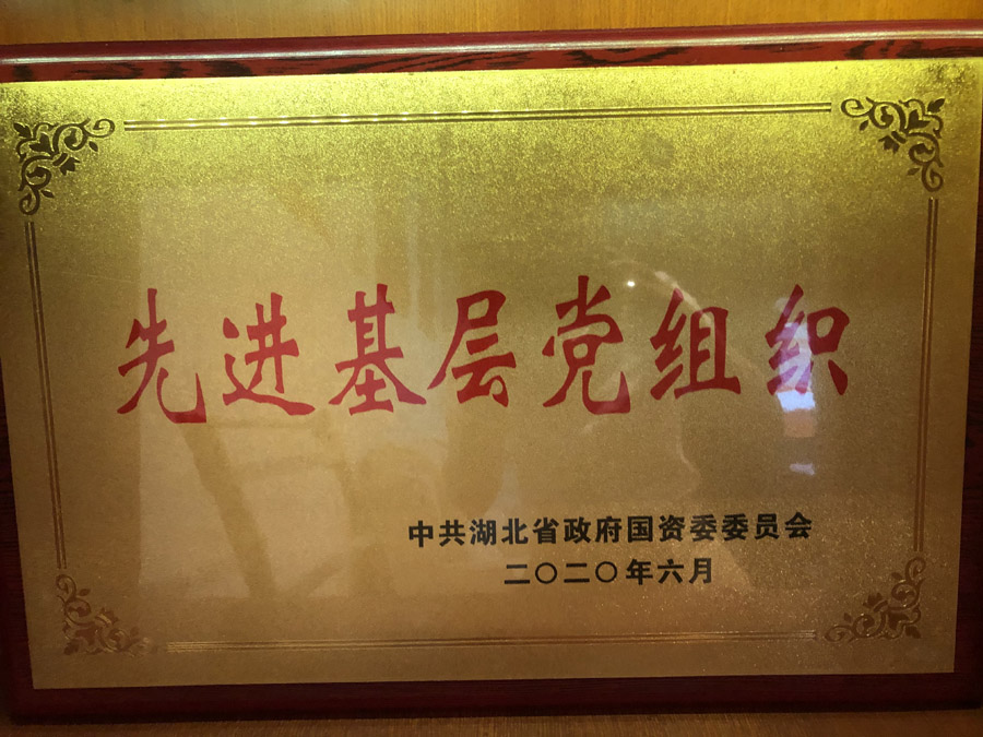 2020年6月，被省國資委評為“先進(jìn)基層黨組織”